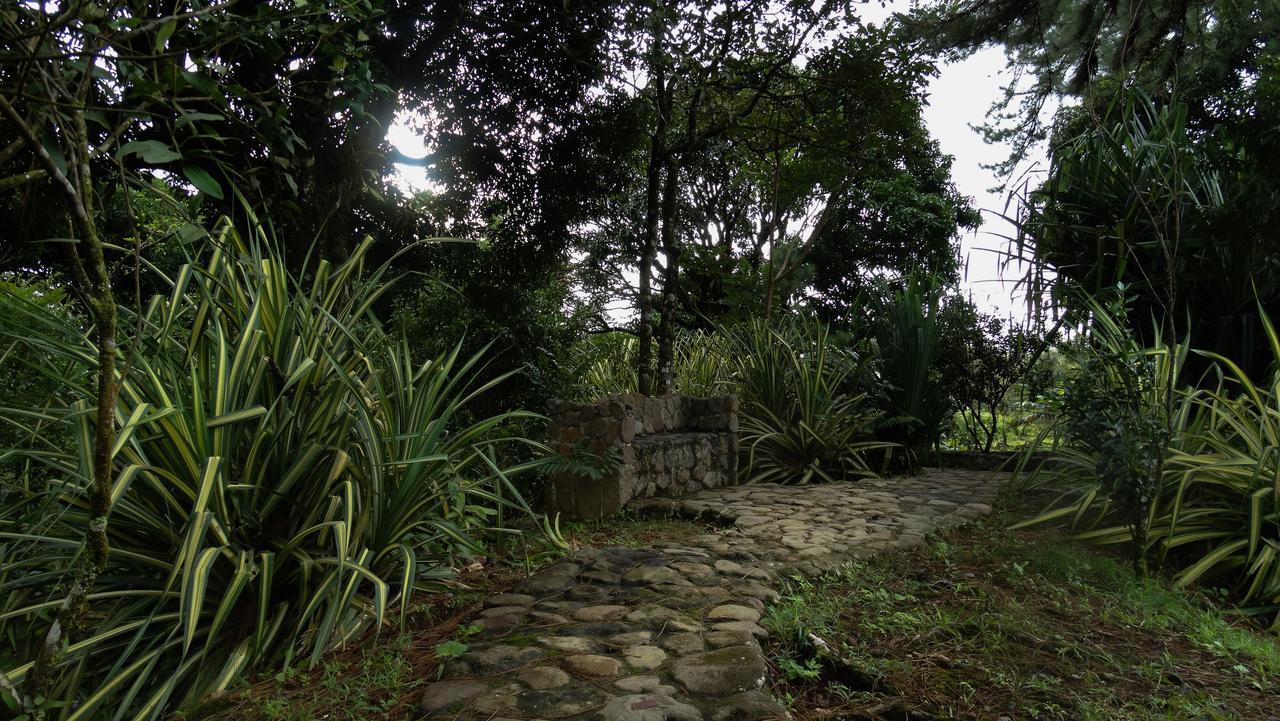 Malekus Mountain Lodge Aguas Claras  Εξωτερικό φωτογραφία