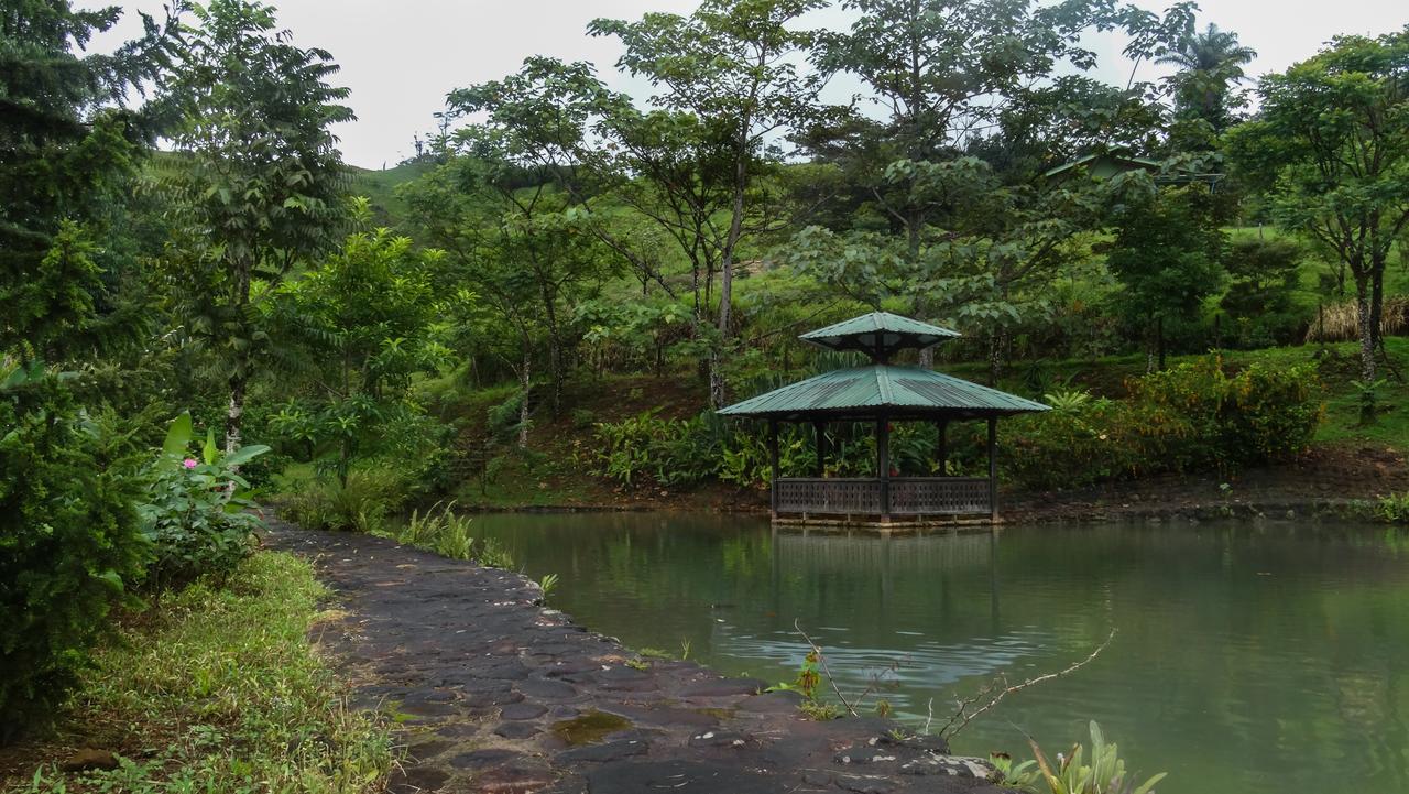 Malekus Mountain Lodge Aguas Claras  Εξωτερικό φωτογραφία
