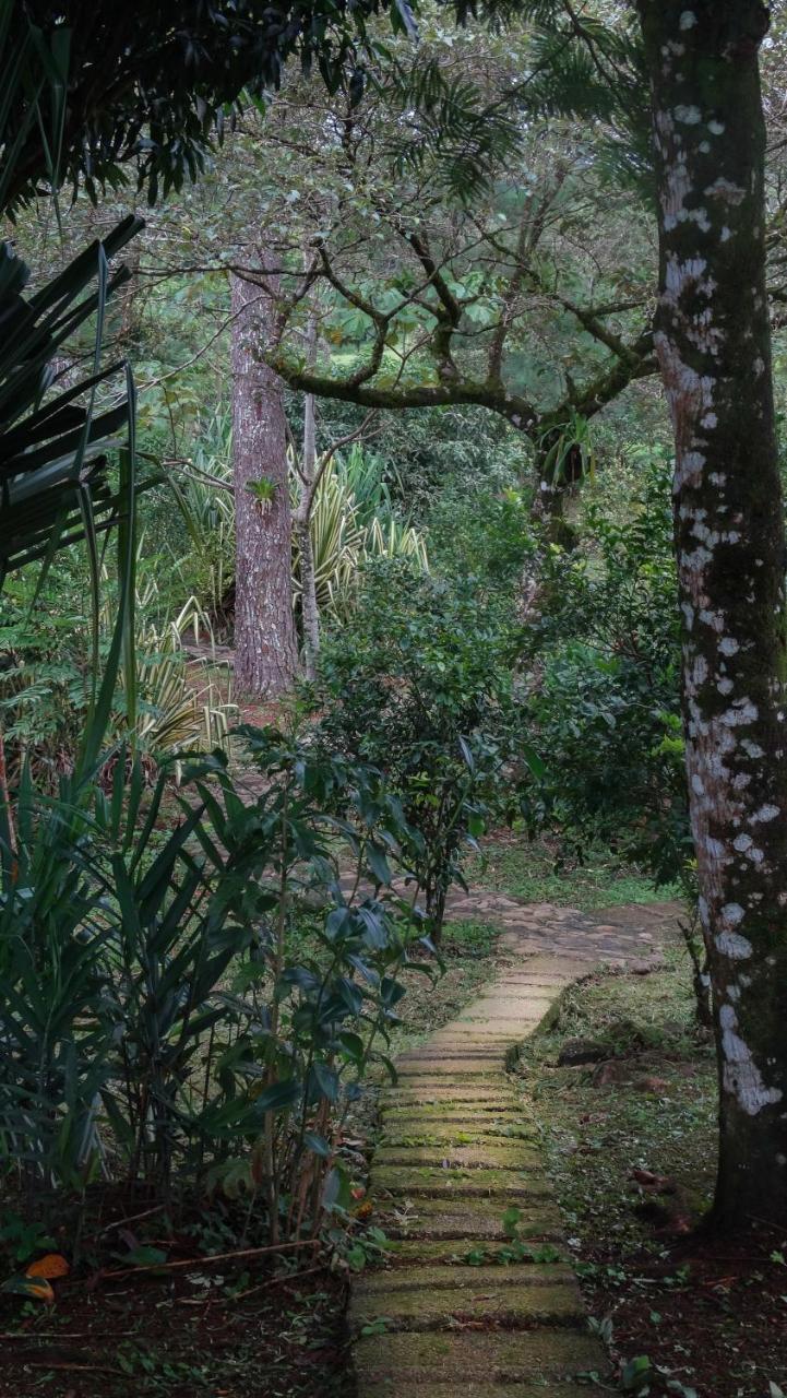Malekus Mountain Lodge Aguas Claras  Εξωτερικό φωτογραφία