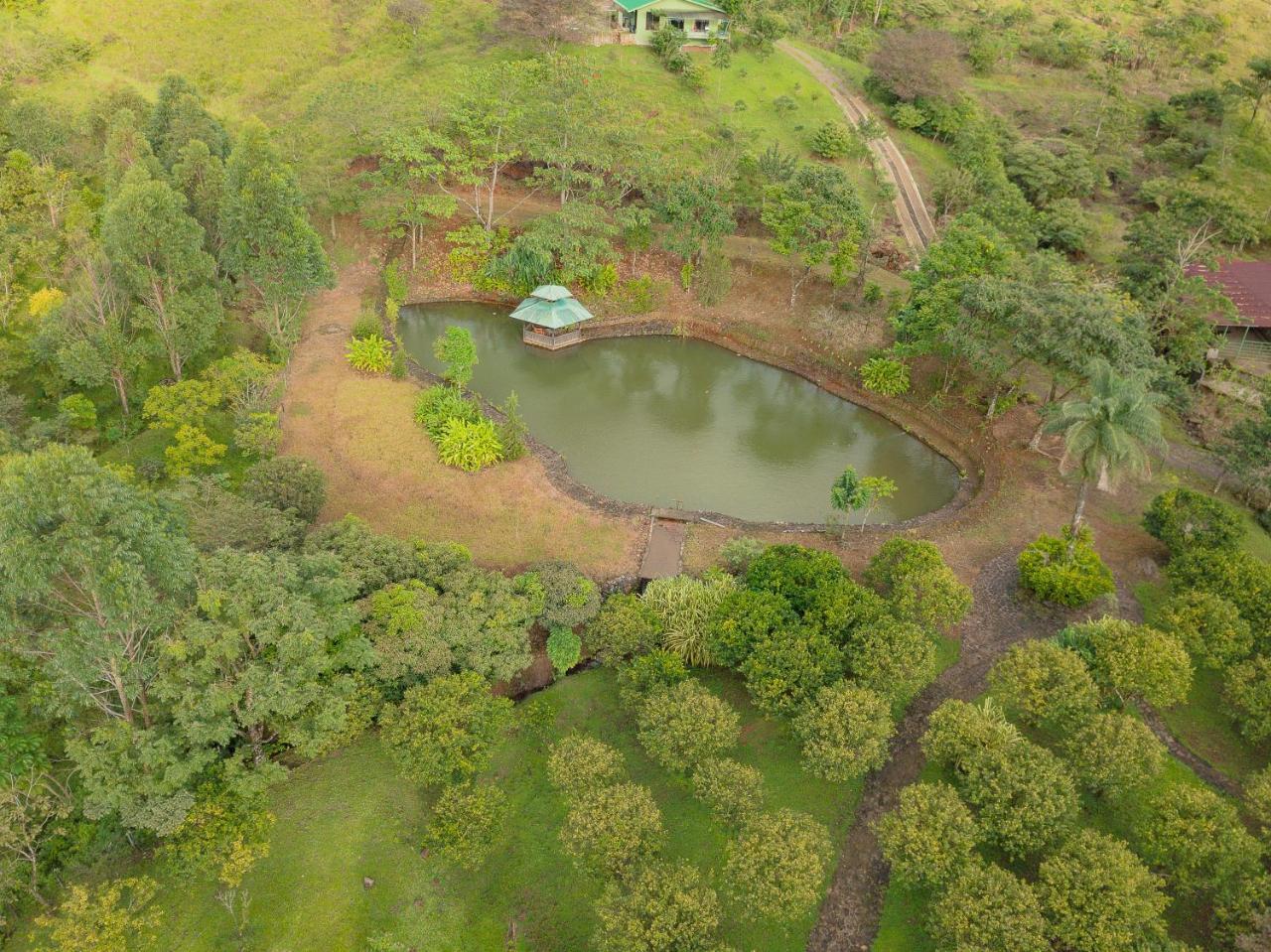 Malekus Mountain Lodge Aguas Claras  Εξωτερικό φωτογραφία